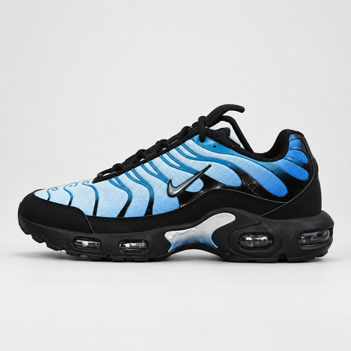 Black & Blue Nike Air Max Plus